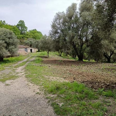 B&B Le Casette Sant'Onofrio  Exterior photo